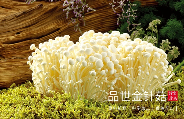 8868体育金针菇