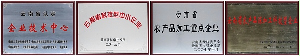8868体育食品