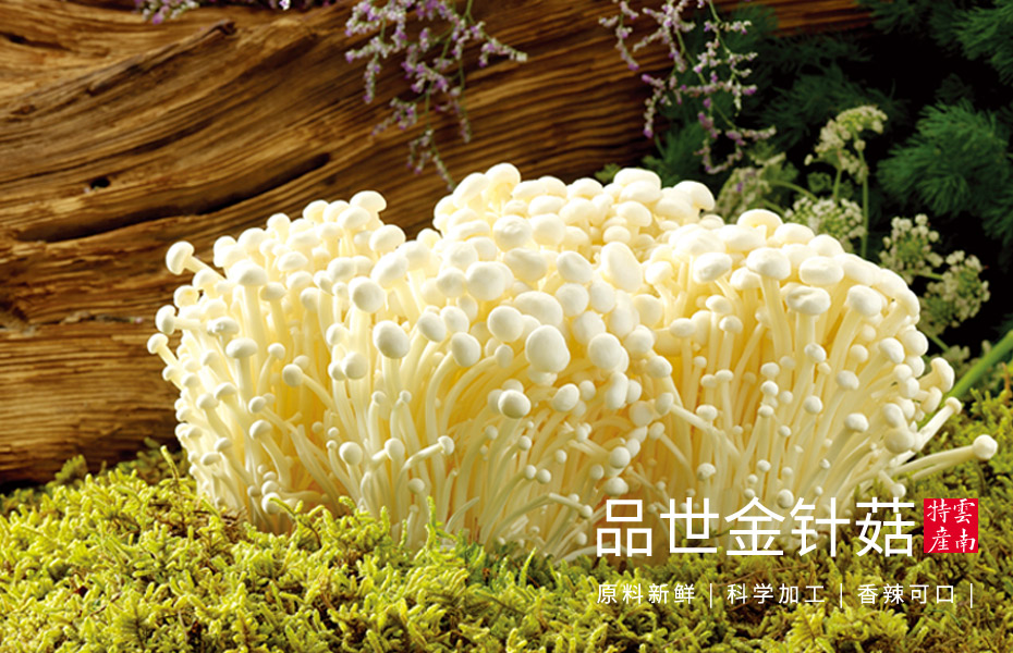 8868体育金针菇